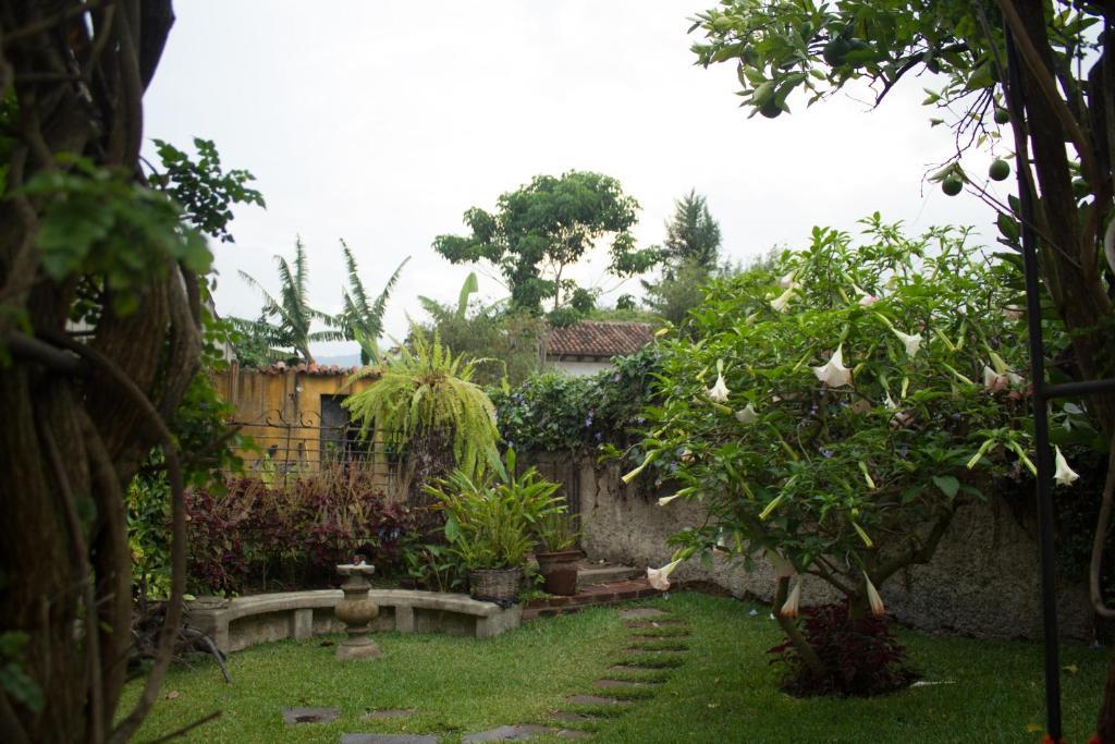 La Casa De Don Pedro Hotel Antigua Luaran gambar