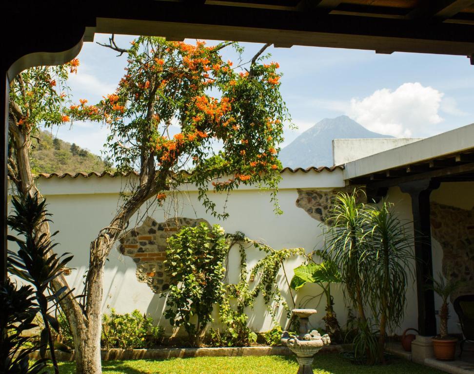 La Casa De Don Pedro Hotel Antigua Luaran gambar